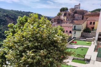 WhatsApp-Image-2024-02-11-at-19.41.42