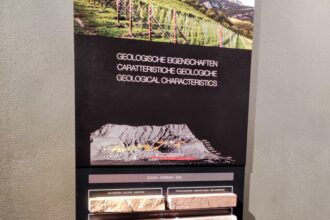 IMG_20241026_130951-EDIT