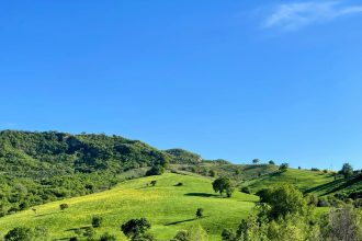 Stigliano_00007